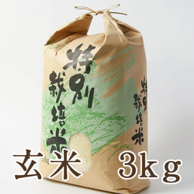 【定期購入】新発田市菅谷産コシヒカリ（特別栽培米）玄米3kg