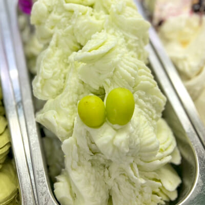 酪農家手作り!コクたっぷりの濃厚ジェラート