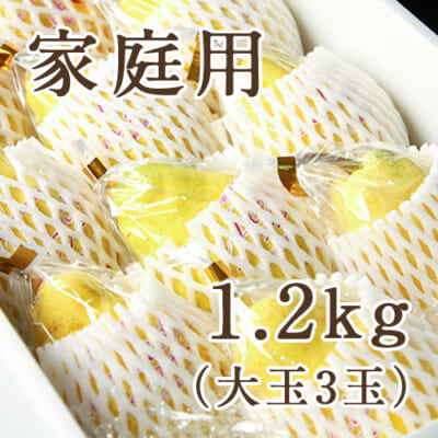 【家庭用】ル・レクチェ 1.3kg（化粧箱入）大玉3玉