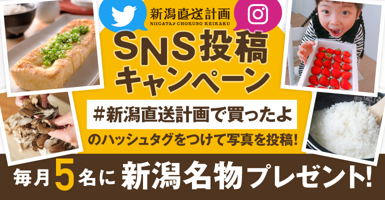 新潟直送計画 新潟名物 特産品を産地直送 お取り寄せ ギフト通販