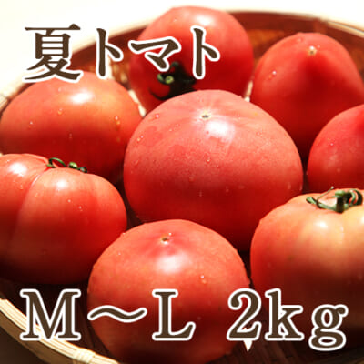 夏トマト M～Lサイズ 約2kg