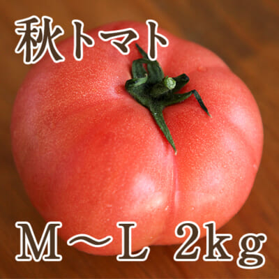 秋トマト M～Lサイズ 約2kg
