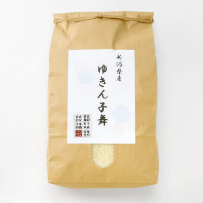 新潟県産 ゆきん子舞 精米10kg