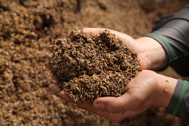 有機肥料を使用した良質な土作り