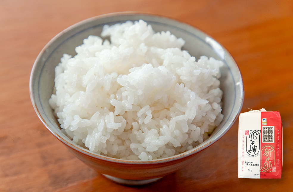 新米・令和4年産　新潟　新之助　白米5kg2個★農家直送★色彩選別済07 ◇産地直送◇ ＜令和6年産＞ 新潟県産 新之助 【白米5kg】