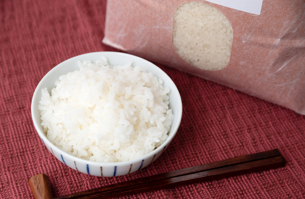 自然栽培米 ササシグレ 令和６年産 玄米 ５kg 2024年産 新米 自然栽培米【年6回偶数月お米定期便】《朝日