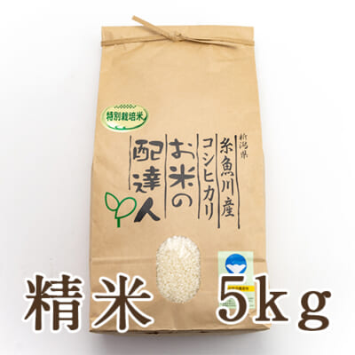【定期購入】糸魚川産コシヒカリ（特別栽培）精米5kg