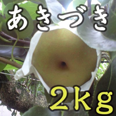 あきづき 2kg(5～7玉)