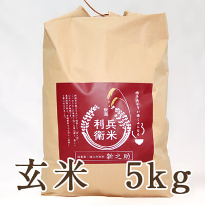 【定期購入】新之助 玄米5kg