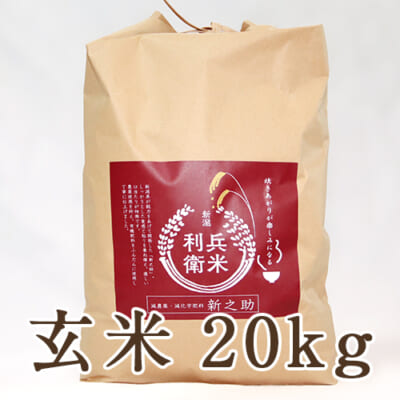 【定期購入】新之助 玄米20kg