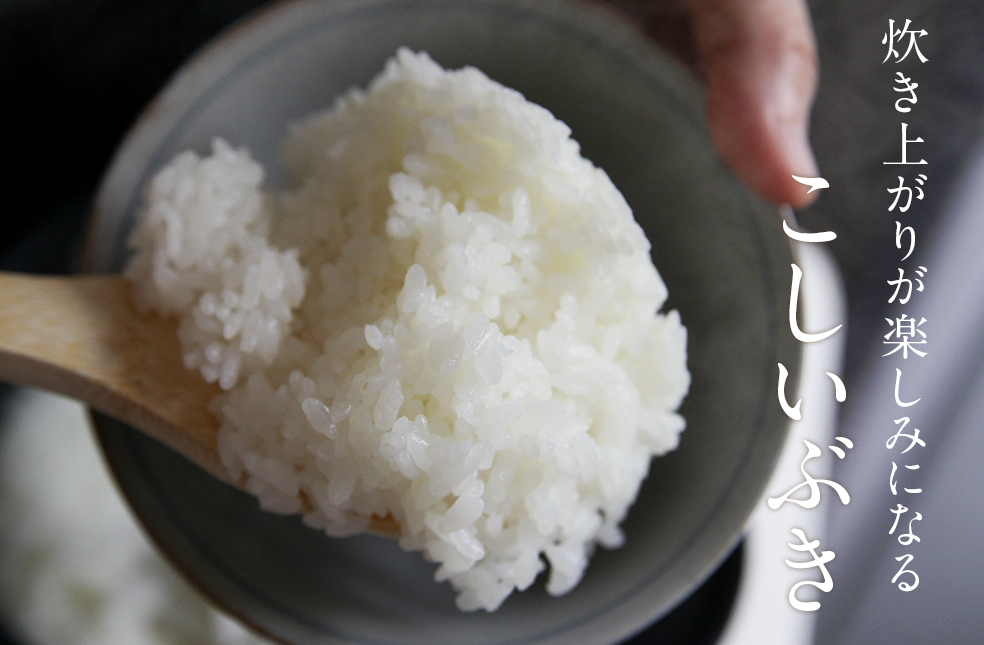 新潟直送計画 令和3年度米 炊き上がりが楽しみになるこしいぶき 五十嵐利兵衛農園
