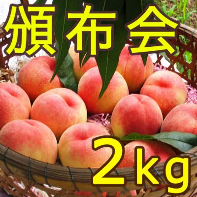 【頒布会】利兵衛の桃 2kg×3回