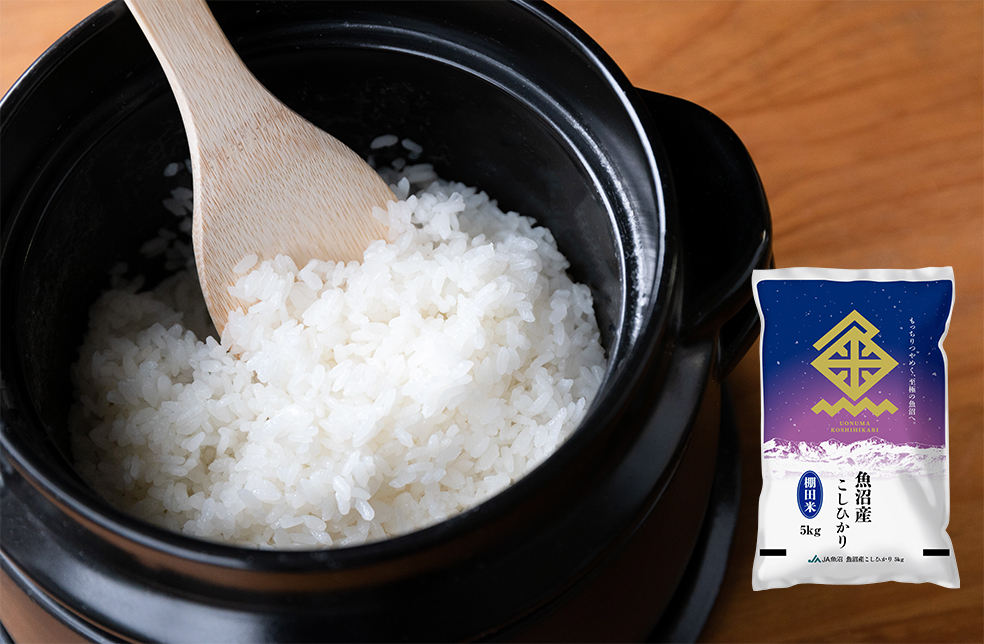 令和6年度⭐️魚沼産 棚田米こしひかり 10．1キロ