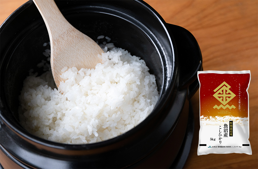 【野球小僧】令和6年産 南魚沼産こしひかり 30kg 特別栽培米 魚沼産 コシヒカリ 令和6年 玄米30k 送料無料 特別栽培米みなみ魚沼