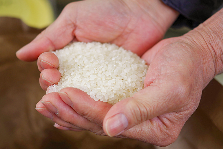 お米に対する感謝の気持ちを込めた米作り