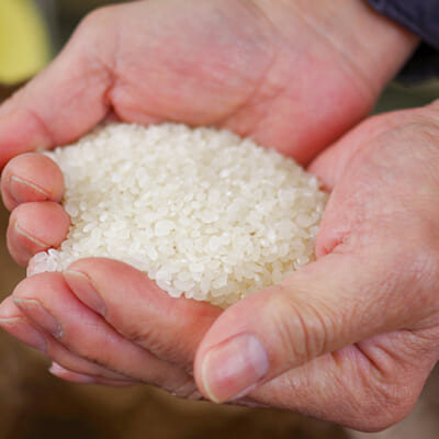 食べる人の健康に配慮した、自然栽培のお米