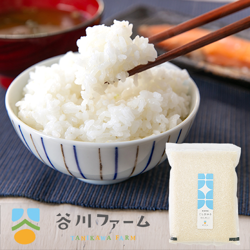 新潟米 YUSA11kg 新潟直送計画】令和7年度米 新潟産コシヒカリ（無洗米） – 谷川ファーム