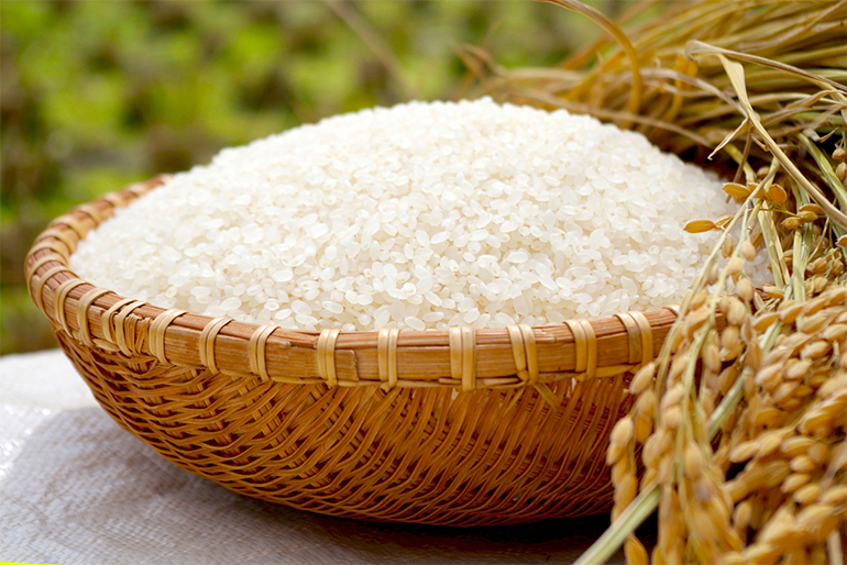 食の安全に配慮した特別栽培米