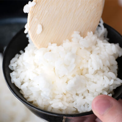 異なる品種のお米を食べ比べ！