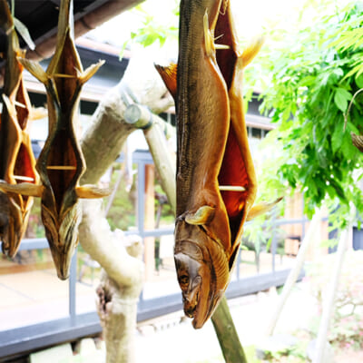 「寒風干し」で旨みを引き出す「塩引き鮭」