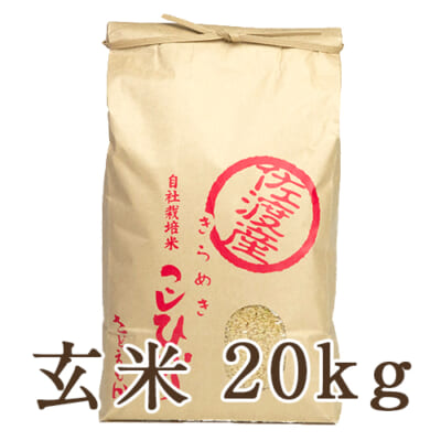 佐渡産コシヒカリ 玄米20kg