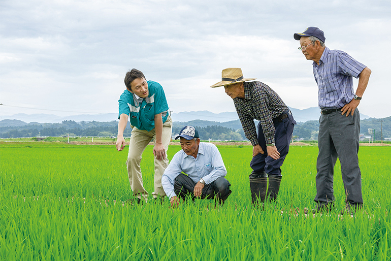 精密なチェックで農家・産地のブランドを守る新潟農商