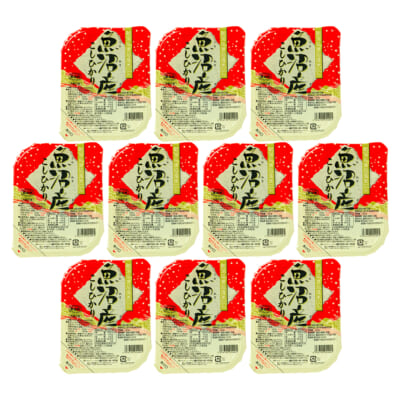 パックごはん 魚沼産コシヒカリ 10パック