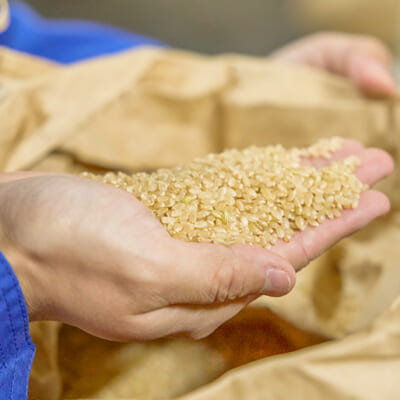 精米したてを、すぐに加工