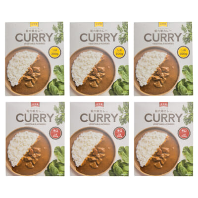糀六華カレー 2種 計6パック（化粧箱入）