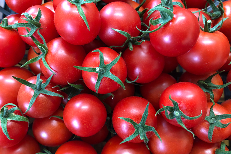2019年新潟春トマトの品評会で第1位に輝いたトマト