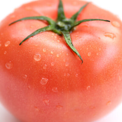みずみずしく真っ赤なトマトを厳選！