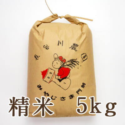 【定期購入】新潟産コシヒカリ 精米5kg