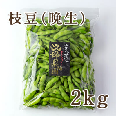 枝豆 晩生品種 2kg