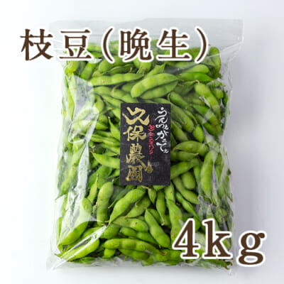 枝豆 晩生品種 4kg
