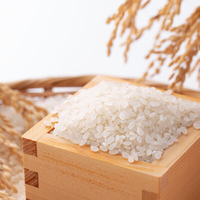 お米が育つ限界の環境で栽培したコシヒカリ