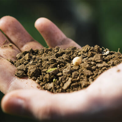 安心・安全で栄養抜群の堆肥で育てる