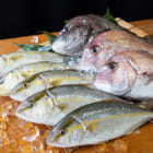 寺泊産 真鯛の鮮魚セット