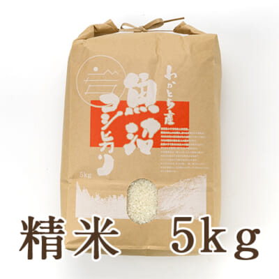 【定期購入】魚沼産コシヒカリ（棚田栽培・特別栽培）精米5kg