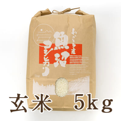 【定期購入】魚沼産コシヒカリ（棚田栽培・特別栽培）玄米5kg