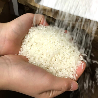 収穫後の選別にこだわり、高品質なお米を厳選