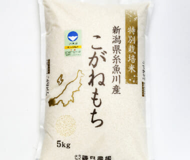予約注文：令和5年度米 糸魚川産こがねもち（もち米・特別栽培米）