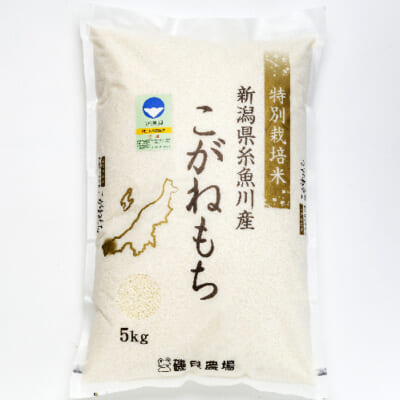 予約注文：令和5年度米 糸魚川産こがねもち（もち米・特別栽培米）