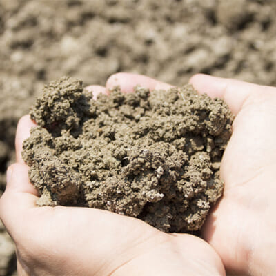 自家製の有機ぼかし肥料で取り組む土づくり