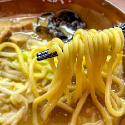 もちもちっとした力強い食感の極太ストレート麺