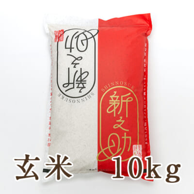 【定期購入】新潟産 新之助 玄米10kg