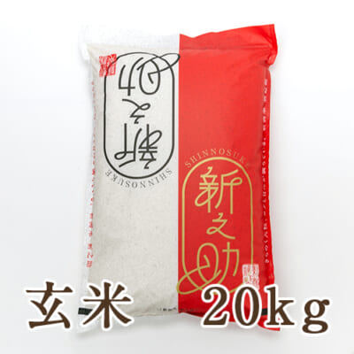 【定期購入】新潟産 新之助 玄米20kg