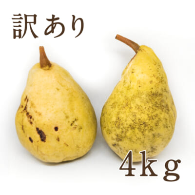 【訳あり】ル・レクチェ 4kg