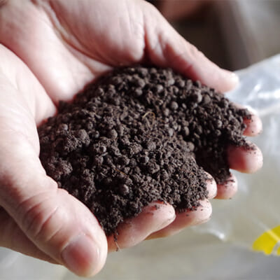 豚糞完熟堆肥や光合成細菌を使用し、お米の食味を高める