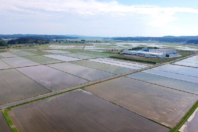 米作りに適した信濃川流域