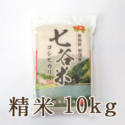 【定期購入】新潟産コシヒカリ「七谷米」（従来品種）精米10kg